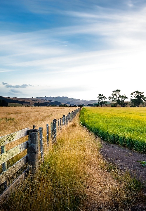 The way.... #16260569