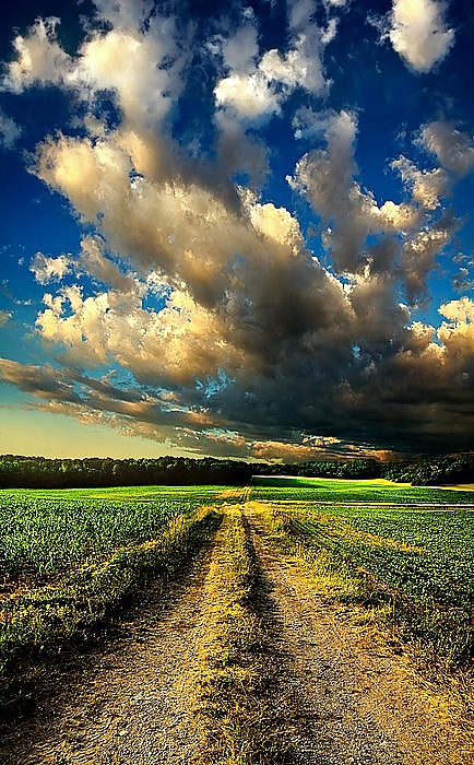 The way.... #16260596