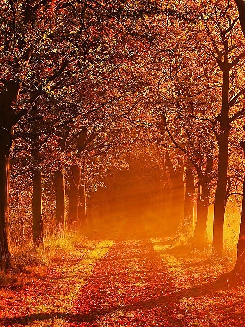 The way.... #16260614