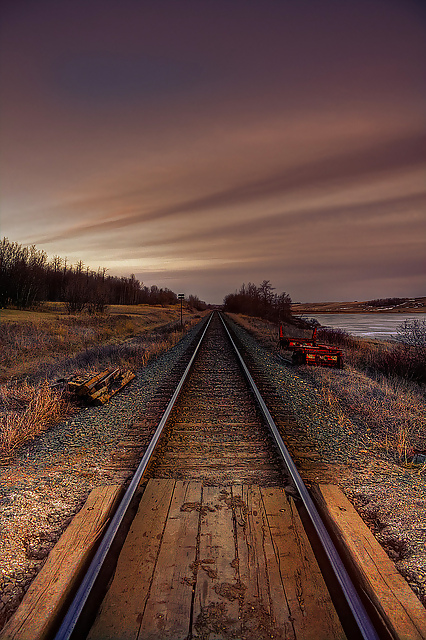 The way.... #16260632