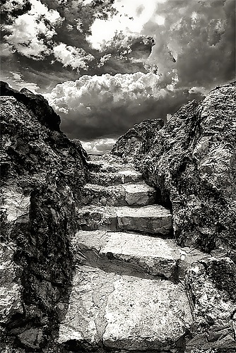 The way.... #16260635