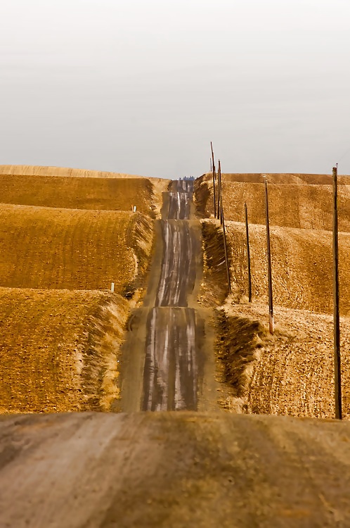 The way.... #16260638