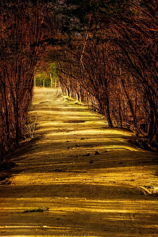 The way.... #16260652