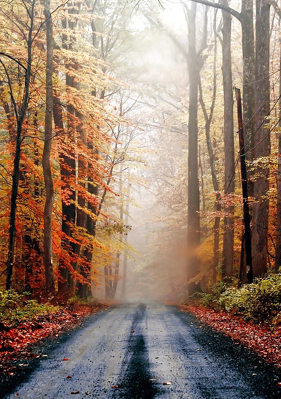 The way.... #16260702