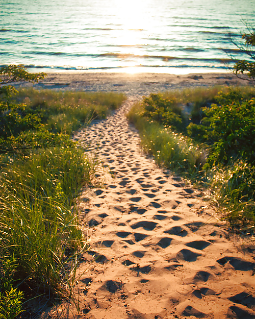 The way.... #16260708