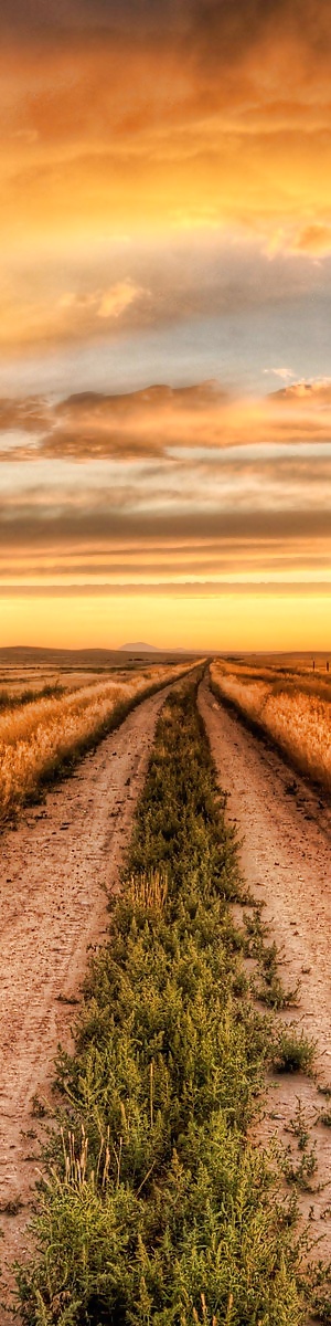 The way.... #16260714