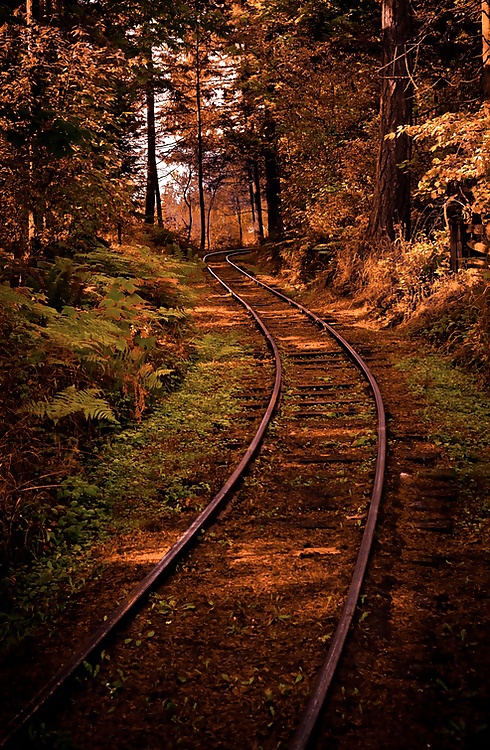 The way.... #16260720