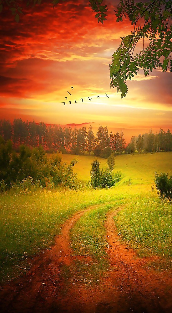 The way.... #16260728