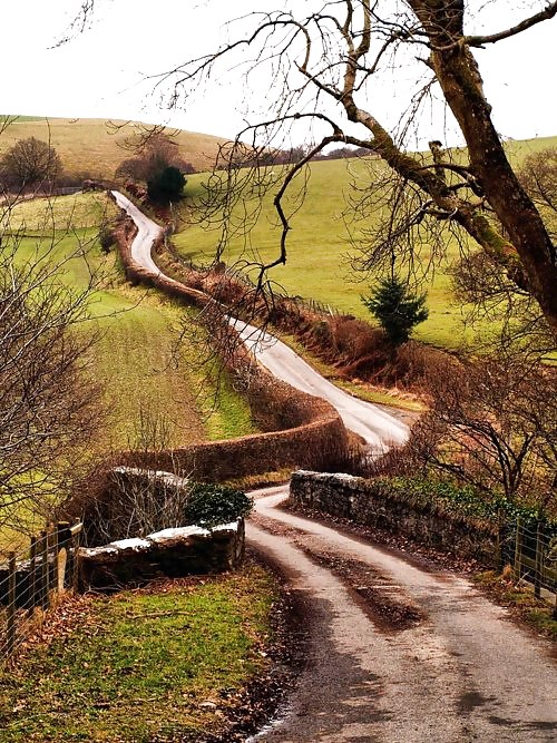 The way.... #16260741