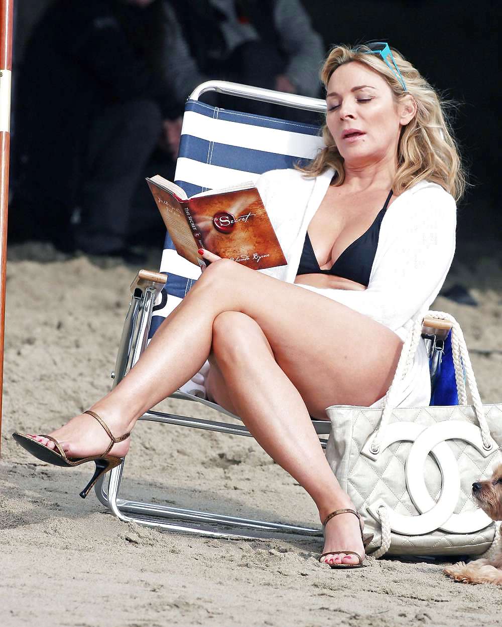 セレバティ
 #12261909