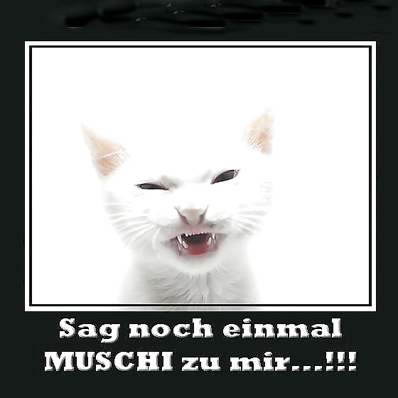 Unprintable Wir haben es geschafft