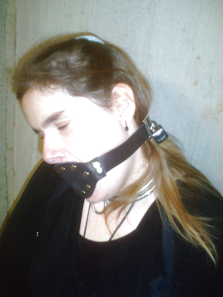 Peril & Pleasure Pigs #10006672