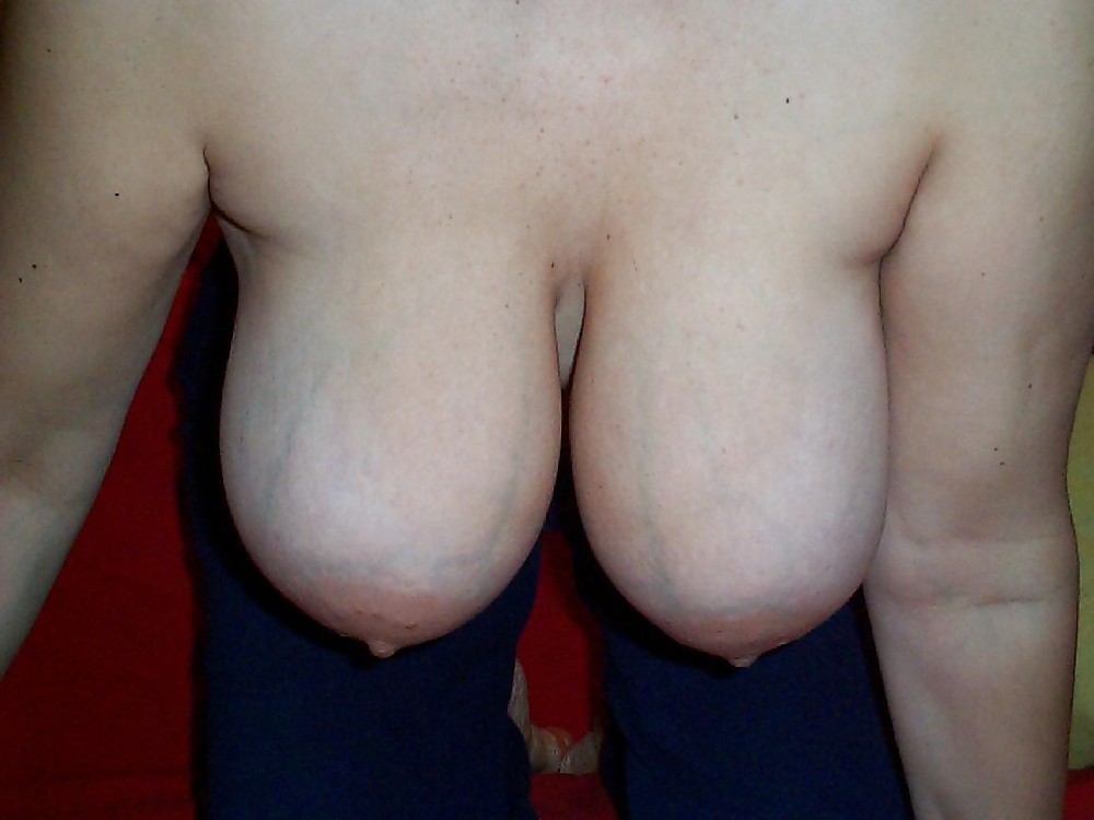 Big Veiny Udders With Big Nipples #8649367