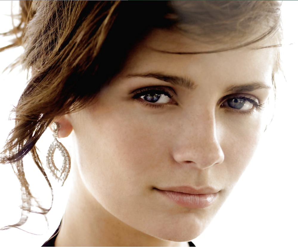 Mischa Barton #13623971