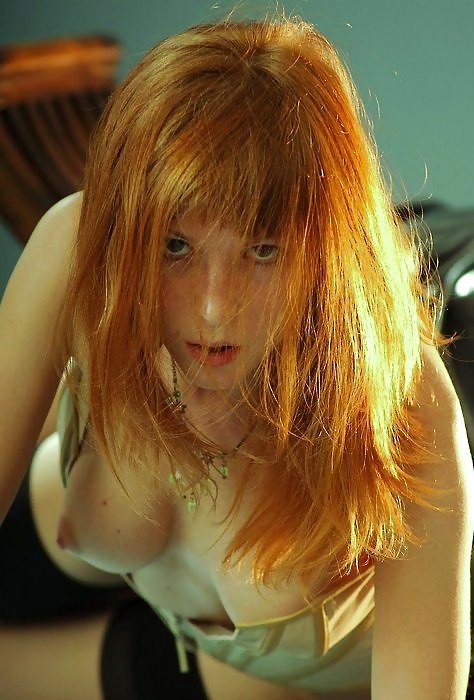 Tasty Tidbits 23 #10770297