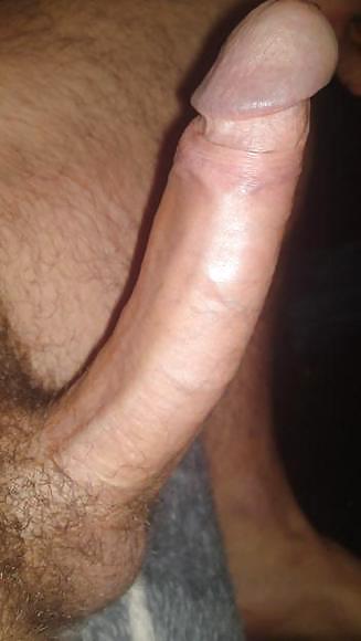 My cock #4415362