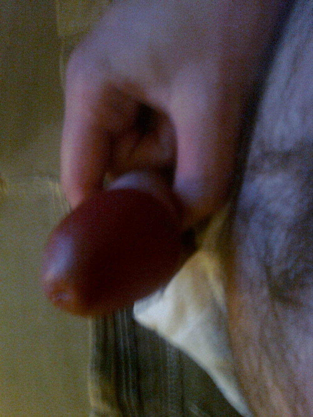 My cock just for Holly #10266409