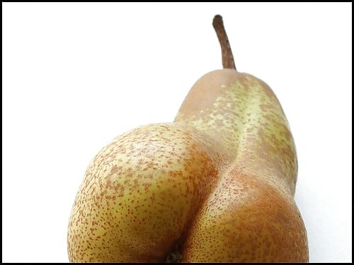 Young pears mature pears #21195549