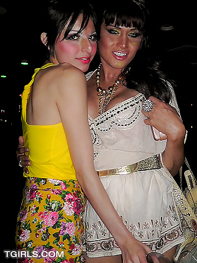 Amateur CD 17 #4061484