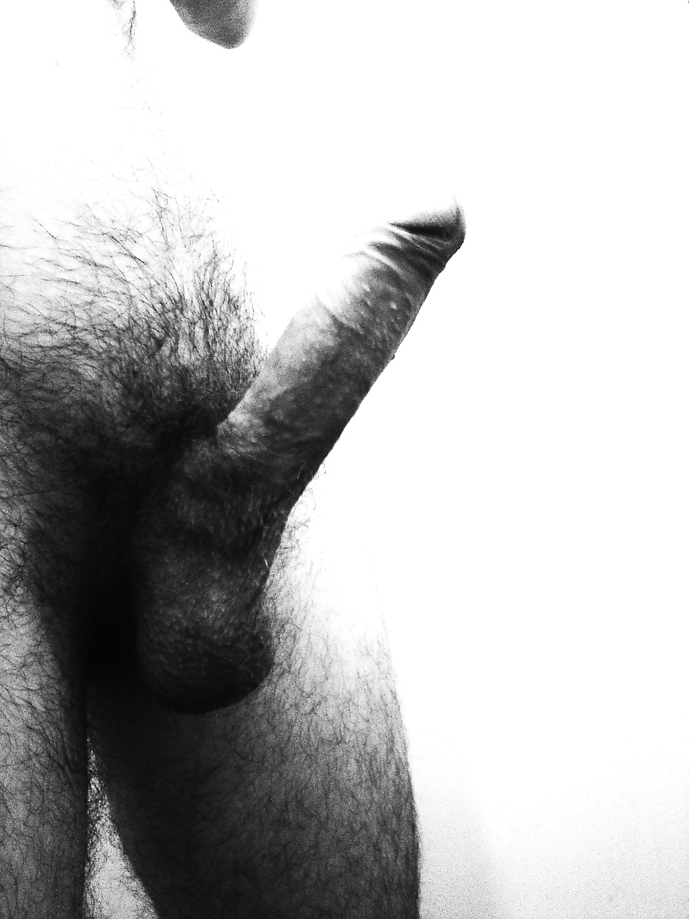 Black and White Cock #4932511