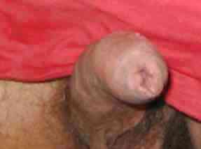 New pics - neue bilder - ny billeder 20.08.2012
 #13230471