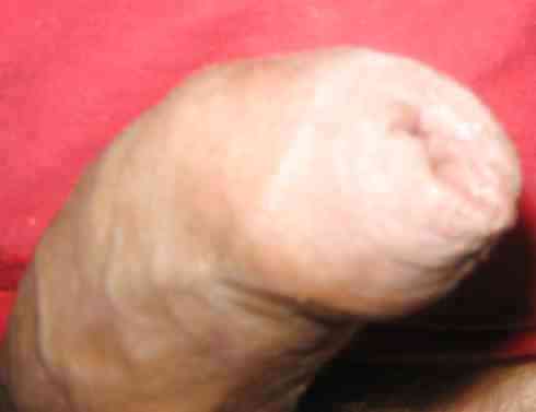 New pics - neue bilder - ny billeder 20.08.2012
 #13230480