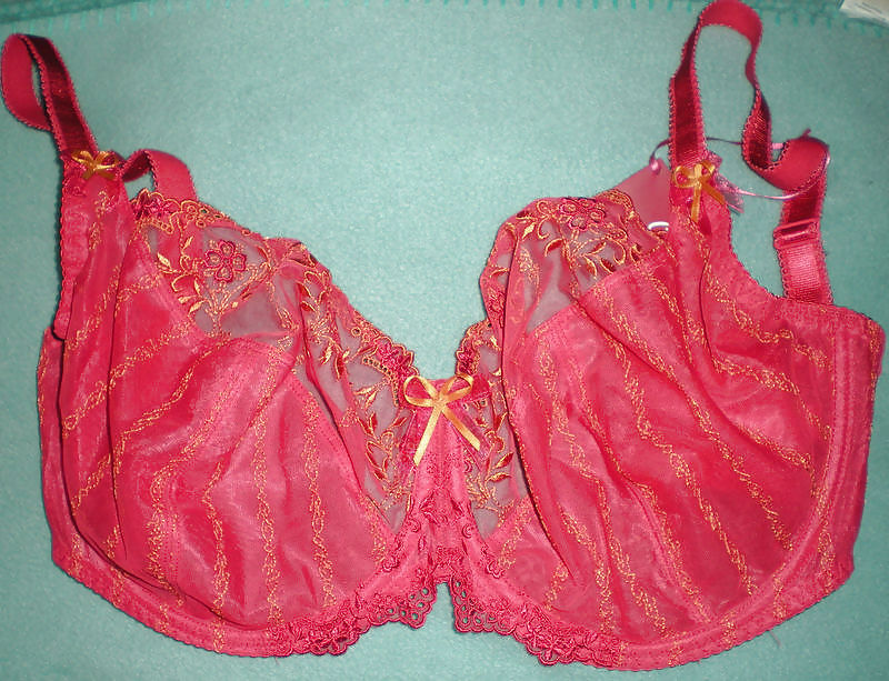 Extinct H Cups #9414100