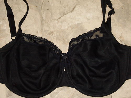 Extinct H Cups #9414110