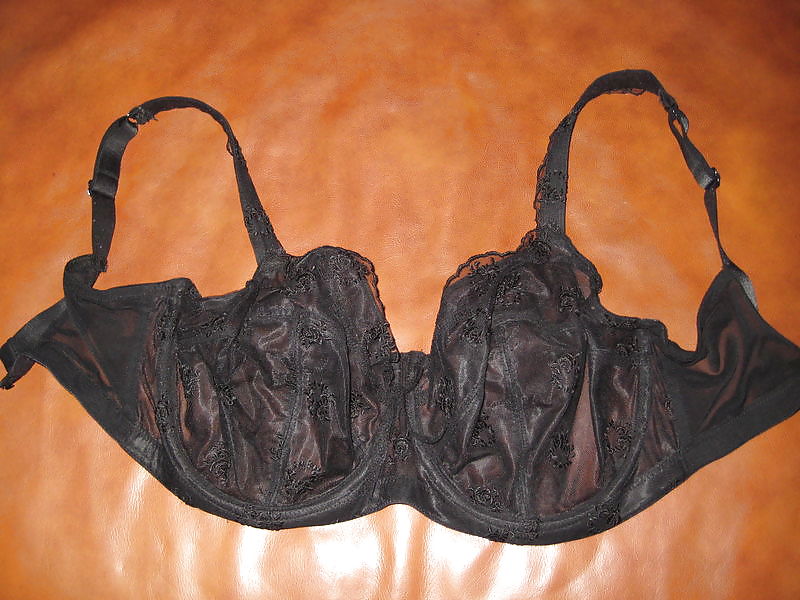 Extinct H Cups #9414115