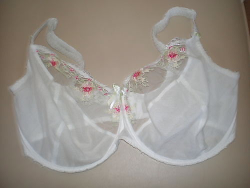 Extinct H Cups #9414119