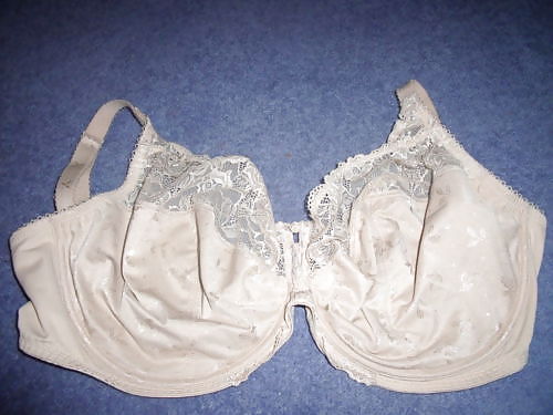 Extinct H Cups #9414125