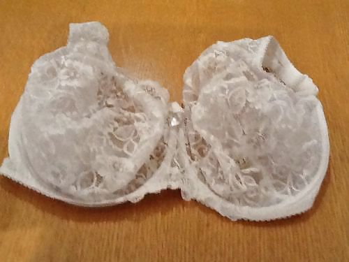 Extinct H Cups #9414154