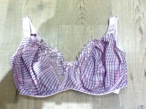 Extinct H Cups #9414157