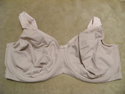 Extinct H Cups #9414162