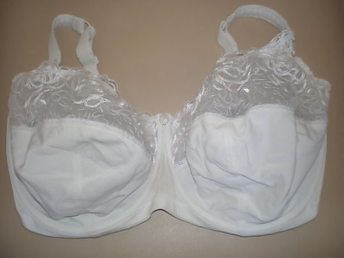 Extinct H Cups #9414179