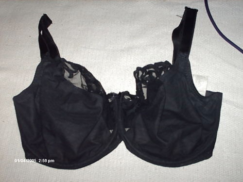 Extinct H Cups #9414197