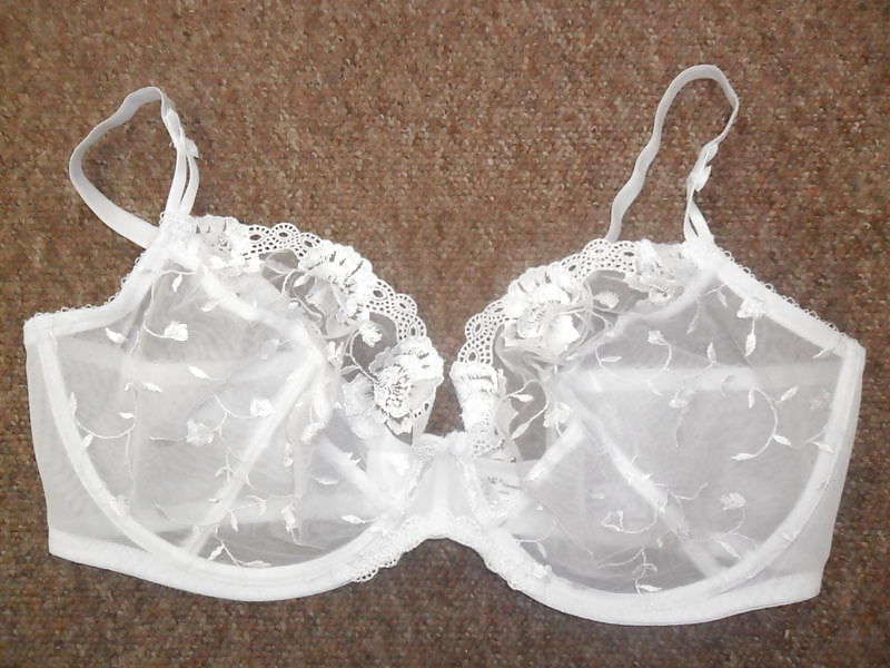 Extinct H Cups #9414202