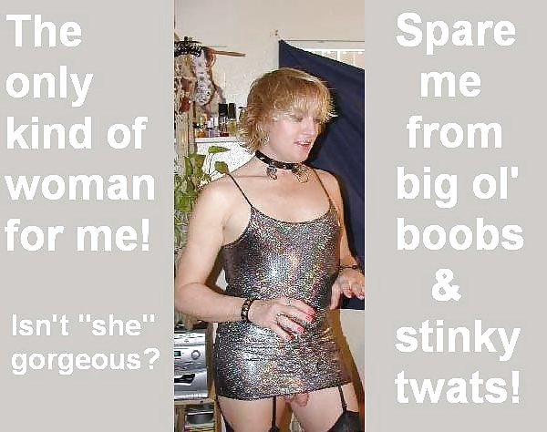 More Sissy 9 #4393434