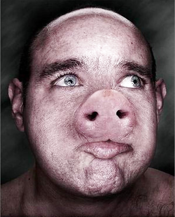 Wainblow the Pigface #10103088