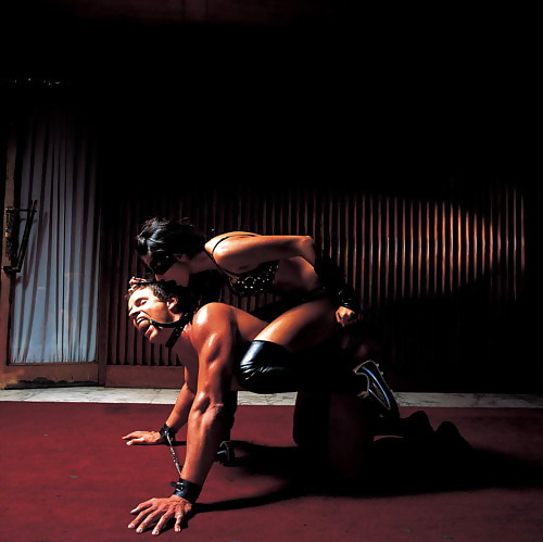 On a leash #17434469