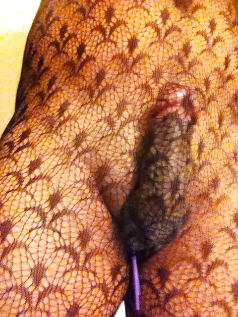 Body stocking fun #15039345