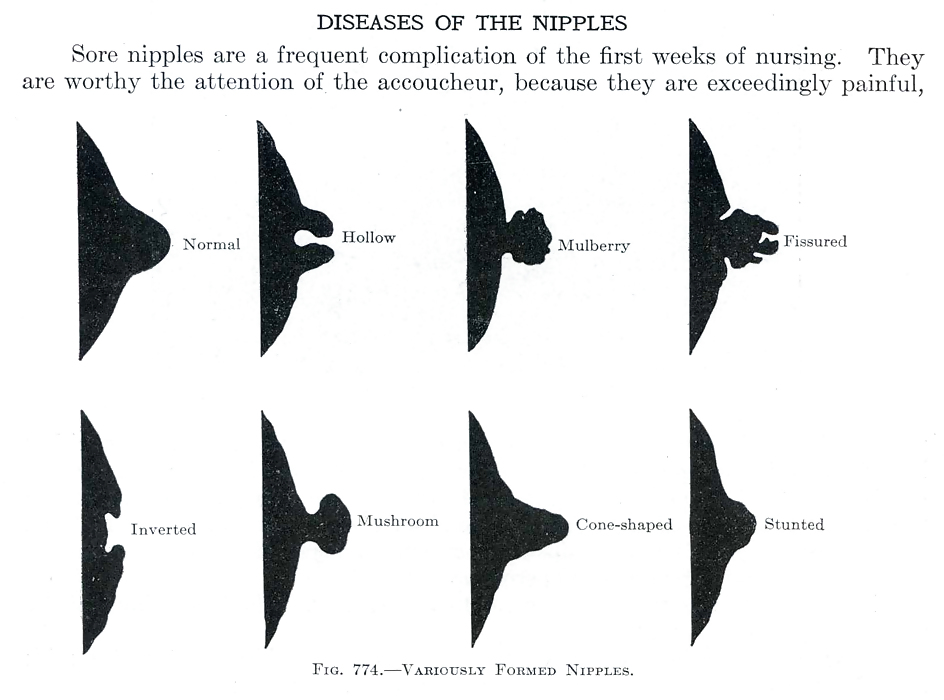 Nipples #4086866