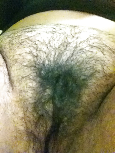 Hairy girlfriend #8116702