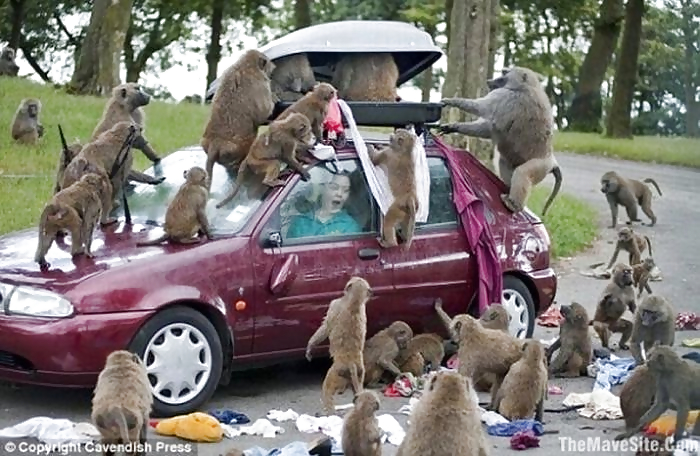 Submit Your Own Caption 7 #3696705