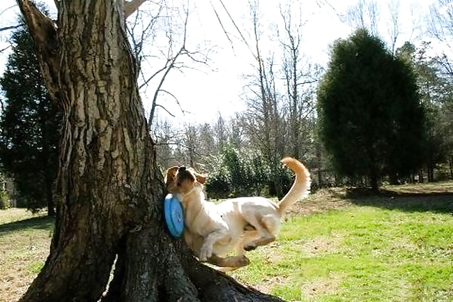 Submit Your Own Caption 7 #3696717