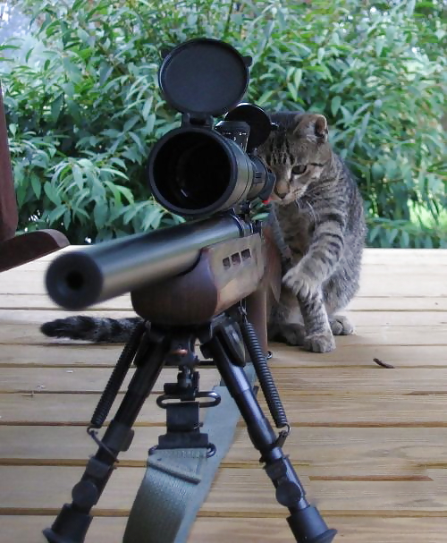 Submit Your Own Caption 7 #3696823