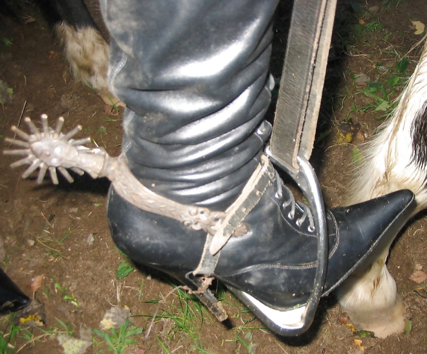 Dominate Peitschenladys im Reitoutfit !! #4589576