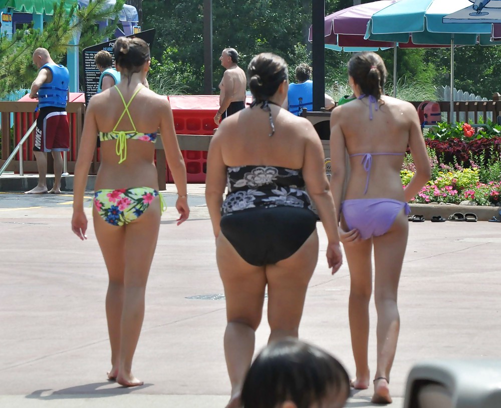 Some of the best plump bikini Milfs on the web #17261774