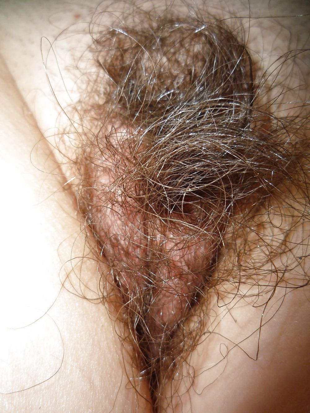 My hairy slut #3744551