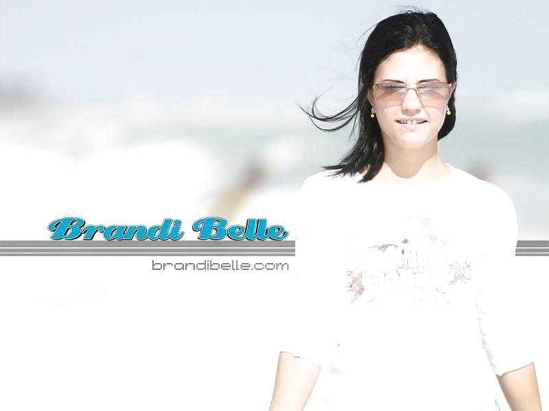Brandi Belle Wallpapers #4108012